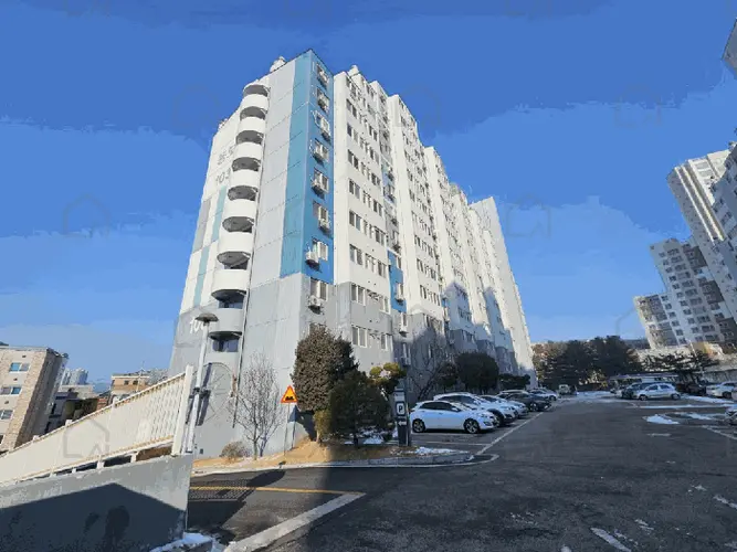 관련사진