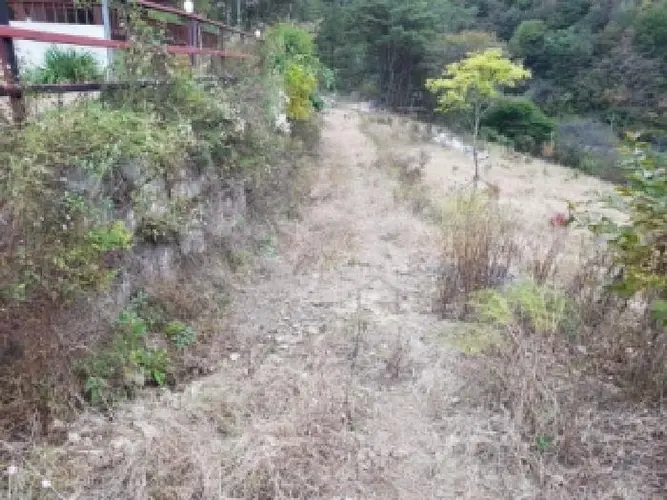 B0002602025013000230518.jpg