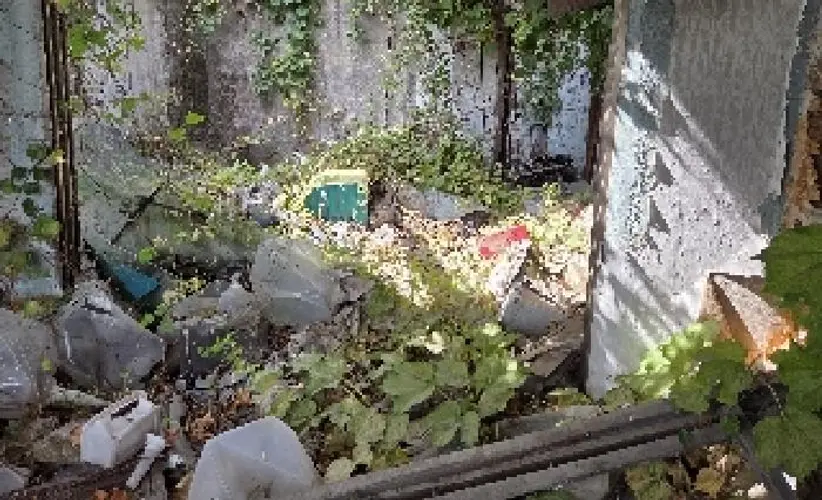 B000261202501300306785.jpg