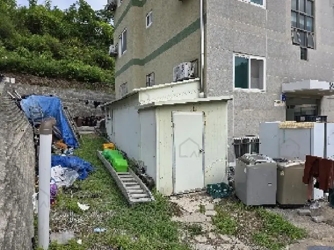 B0002612025013000022728.jpg