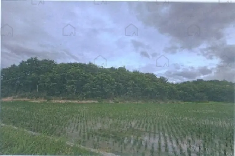 B000261202501300002259.jpg