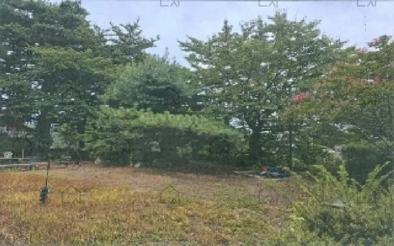 B000261202501300002563.jpg