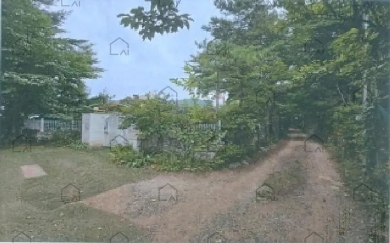 B000261202501300002569.jpg