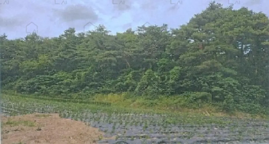 B0002612025013000022512.jpg