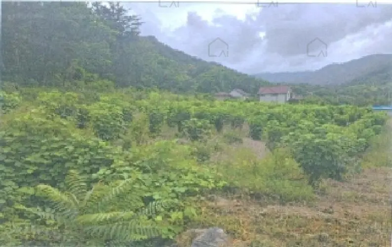 B000261202501300002254.jpg
