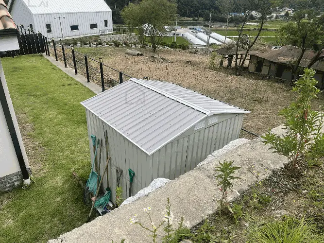 B000261202501300305969.jpg