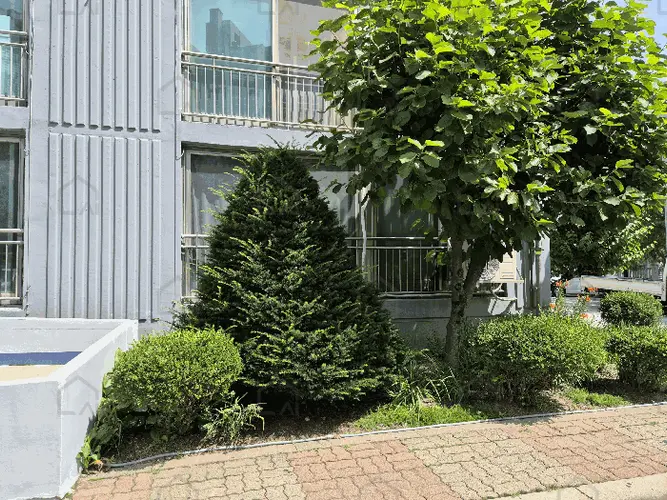 B000262202501300207426.jpg
