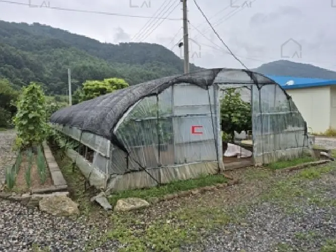 B000262202501300207476.jpg