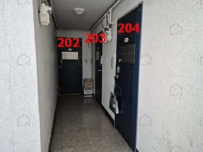 B000262202501300209965.jpg