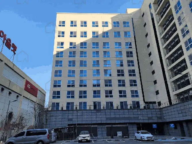 관련사진