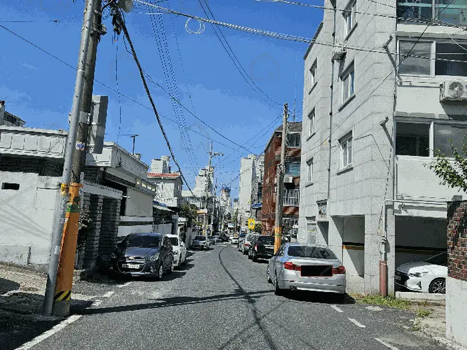 관련사진