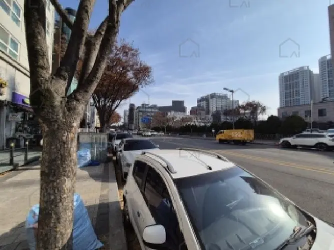 관련사진