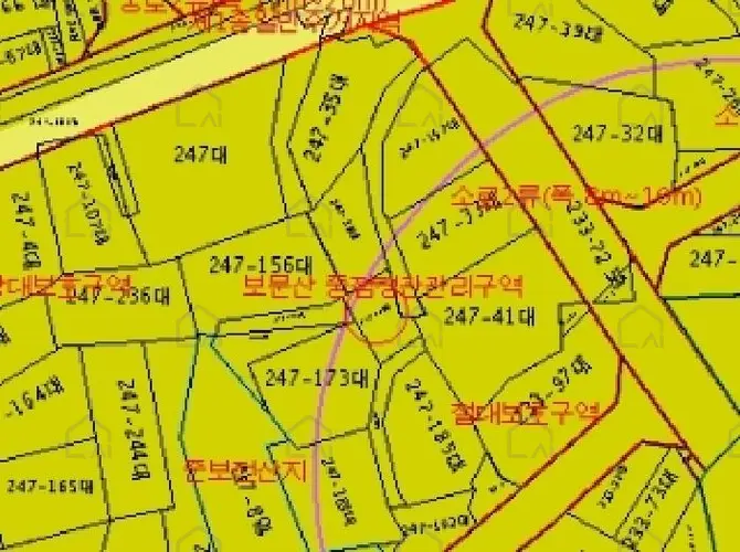 관련사진