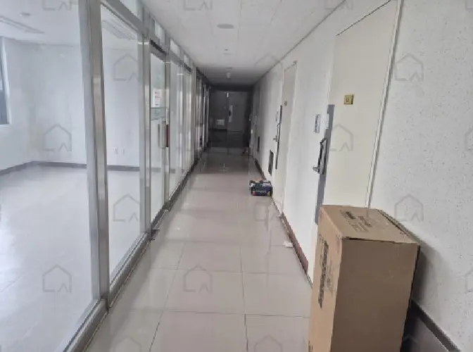 관련사진