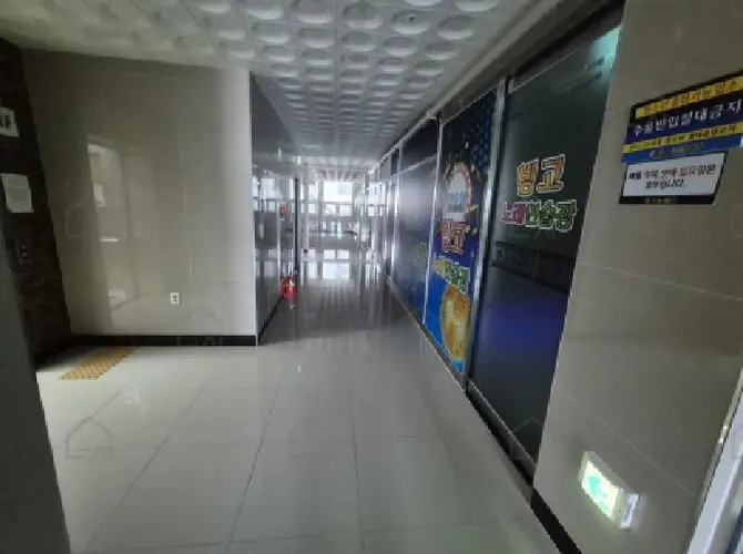 관련사진