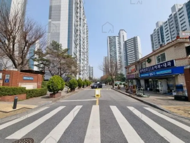 관련사진