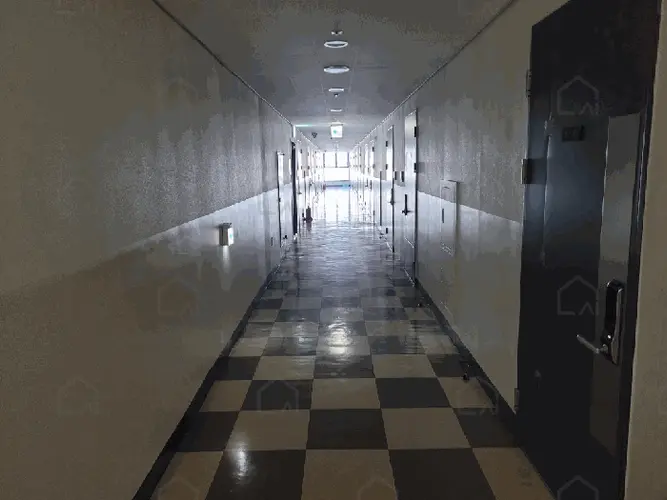 관련사진