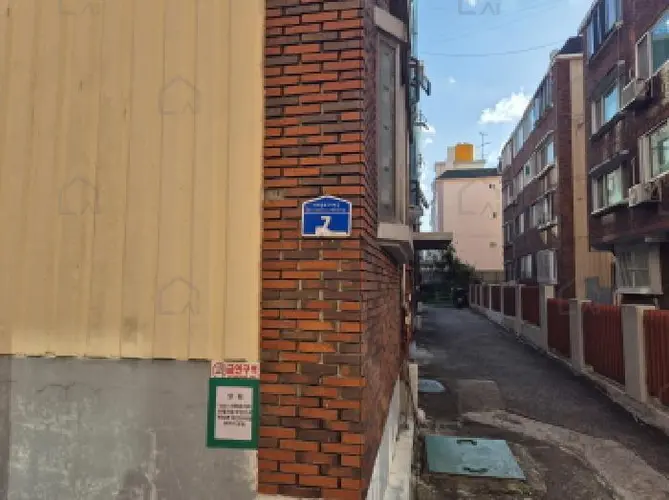 관련사진