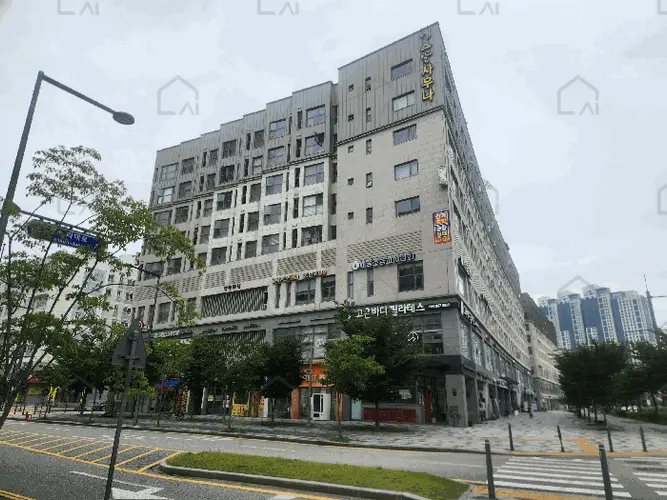 관련사진