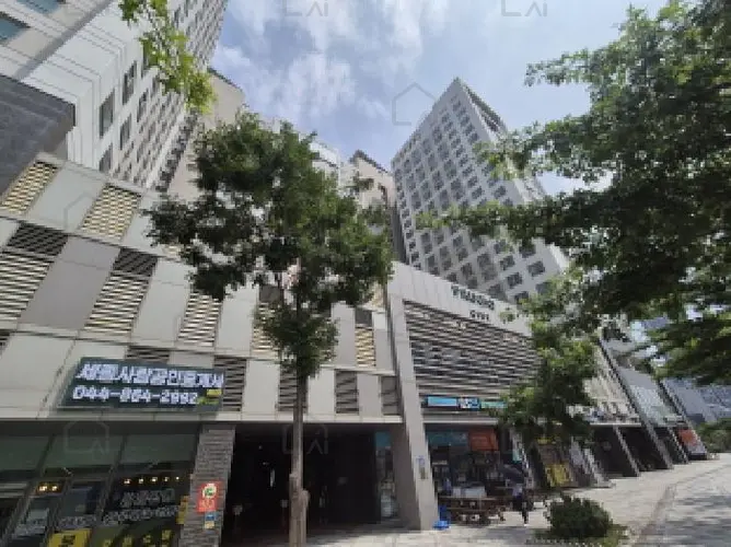 관련사진