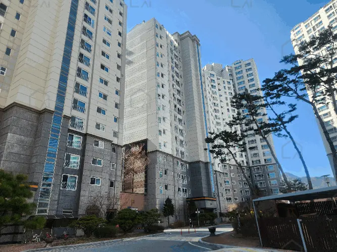 관련사진