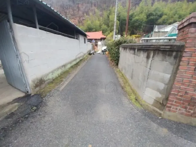 B000280202501305040589.jpg