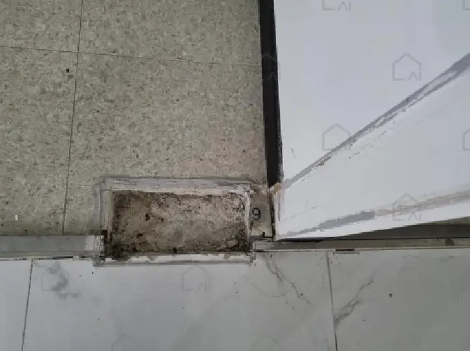B000280202501305031628.jpg