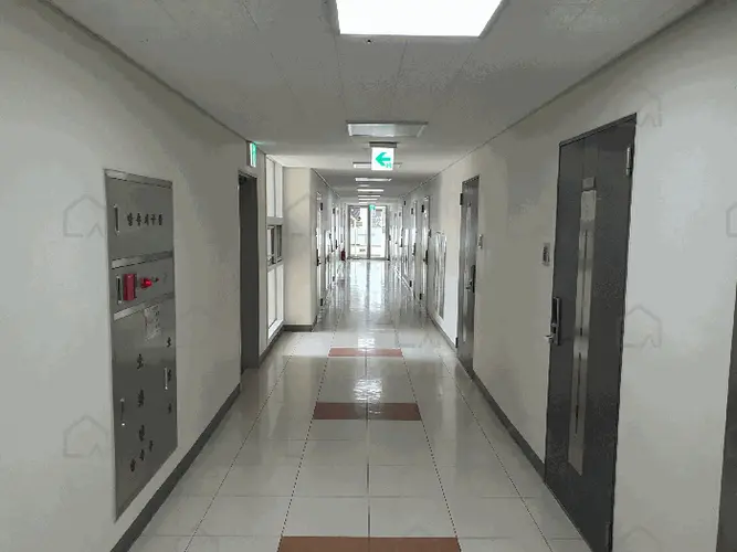 관련사진