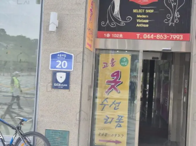 관련사진