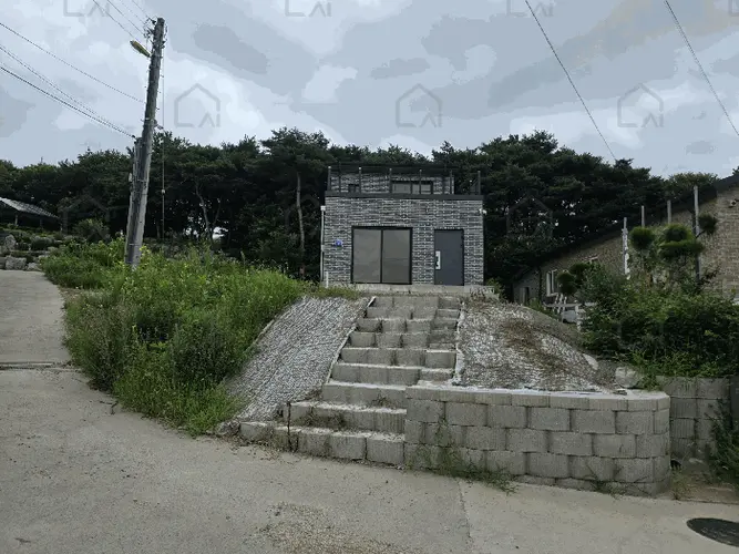 B000281202501300158936.jpg