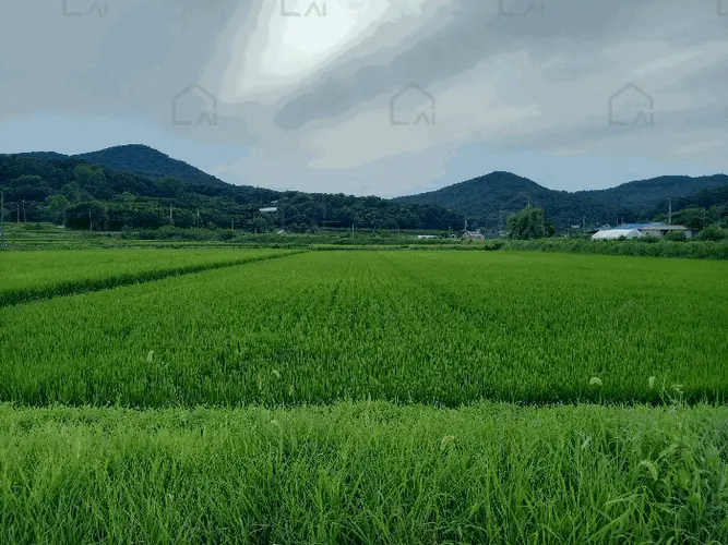 관련사진