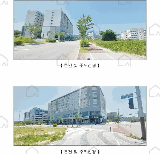 관련사진
