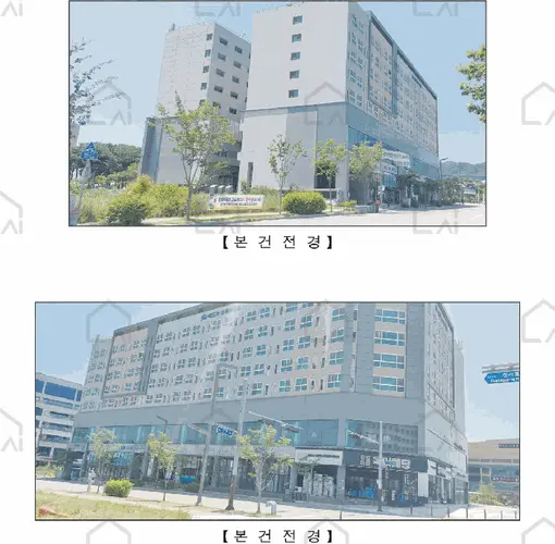 관련사진