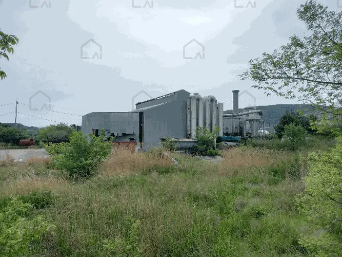 B000281202501300157079.jpg