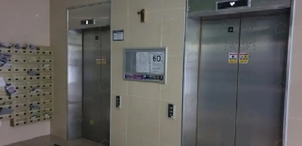 B0002812025013001583414.jpg