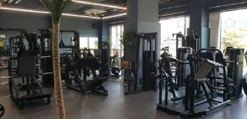 관련사진