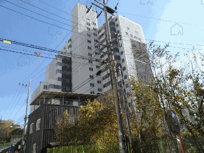 관련사진
