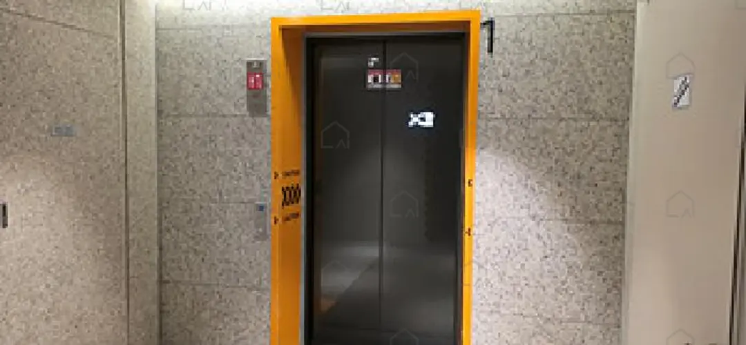 관련사진