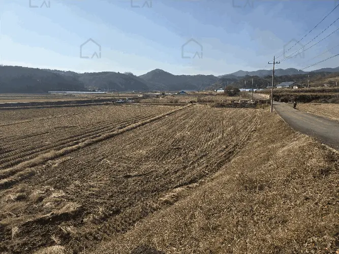 관련사진