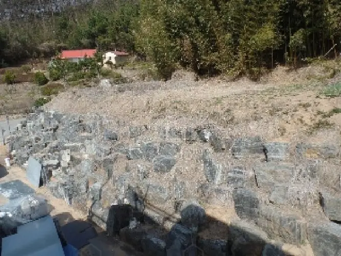 B0002822024013002347326.jpg