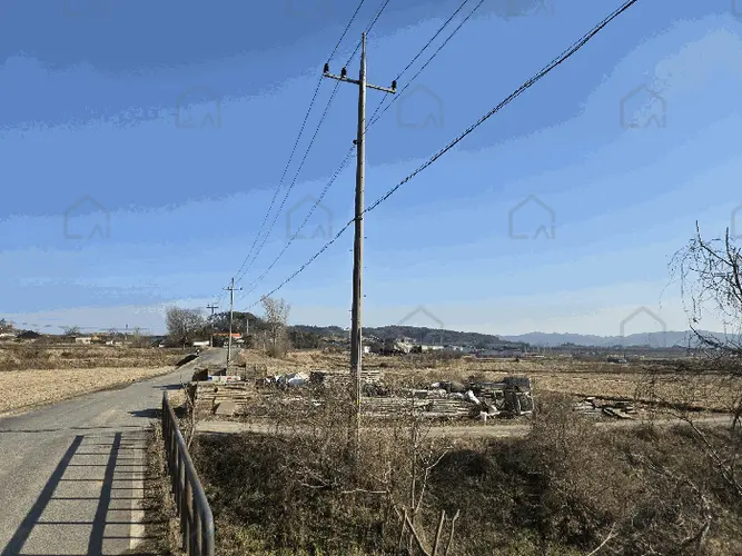 관련사진