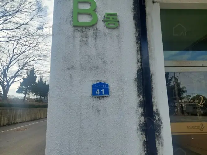 B000283202401301164601.jpg