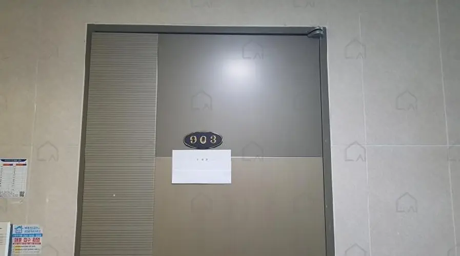 B000283202601300102404.jpg
