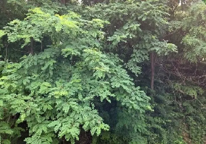 B0002832025013000057112.jpg