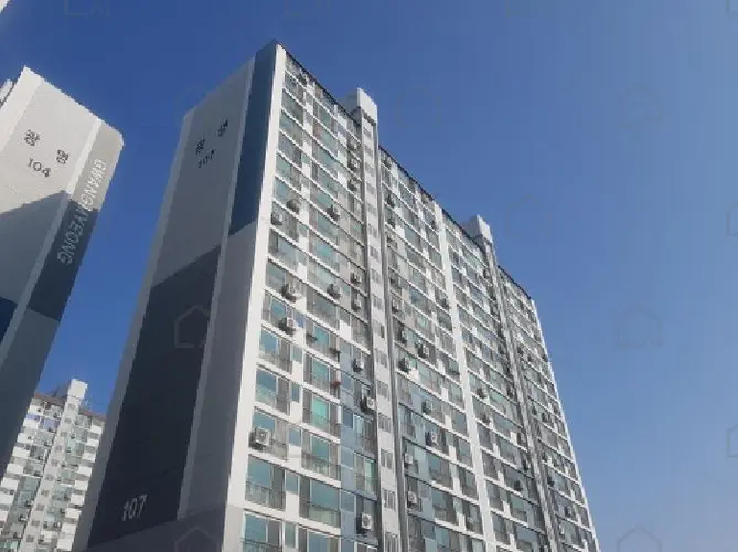 B000283202501300127203.jpg