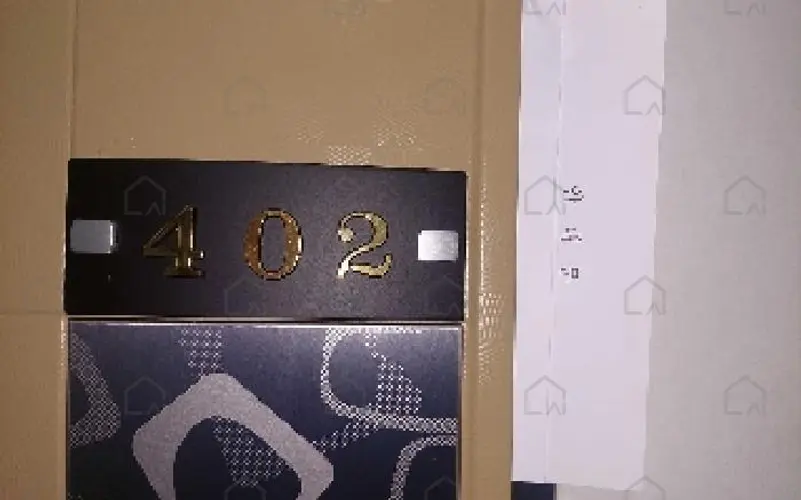 관련사진