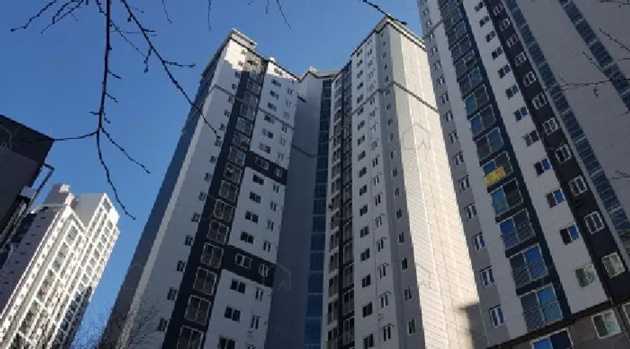 B000283202501300129341.jpg