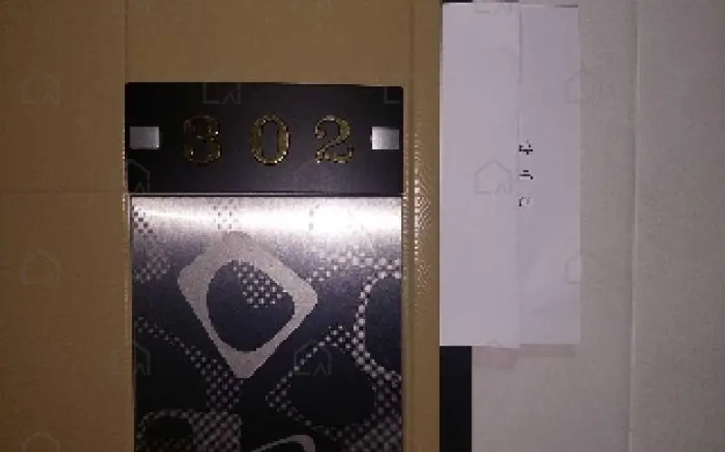 관련사진
