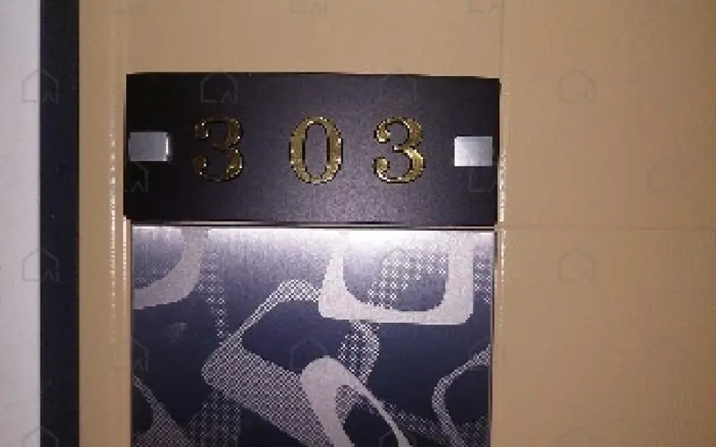 B000283202501300117971.jpg