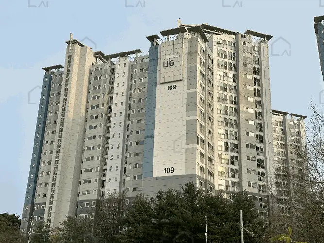 B000285202501300518986.jpg